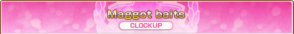 Maggot baits