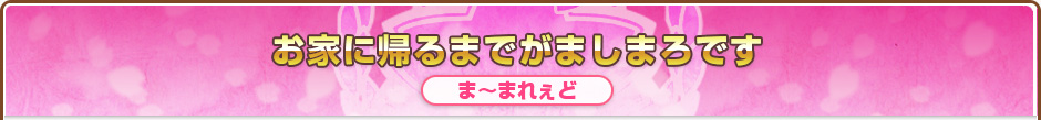お家に帰るまでがましまろです